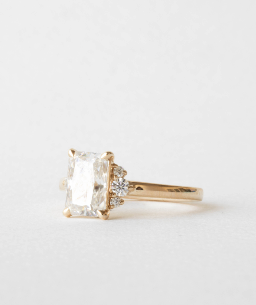 Sophia Magagnoli | N1208