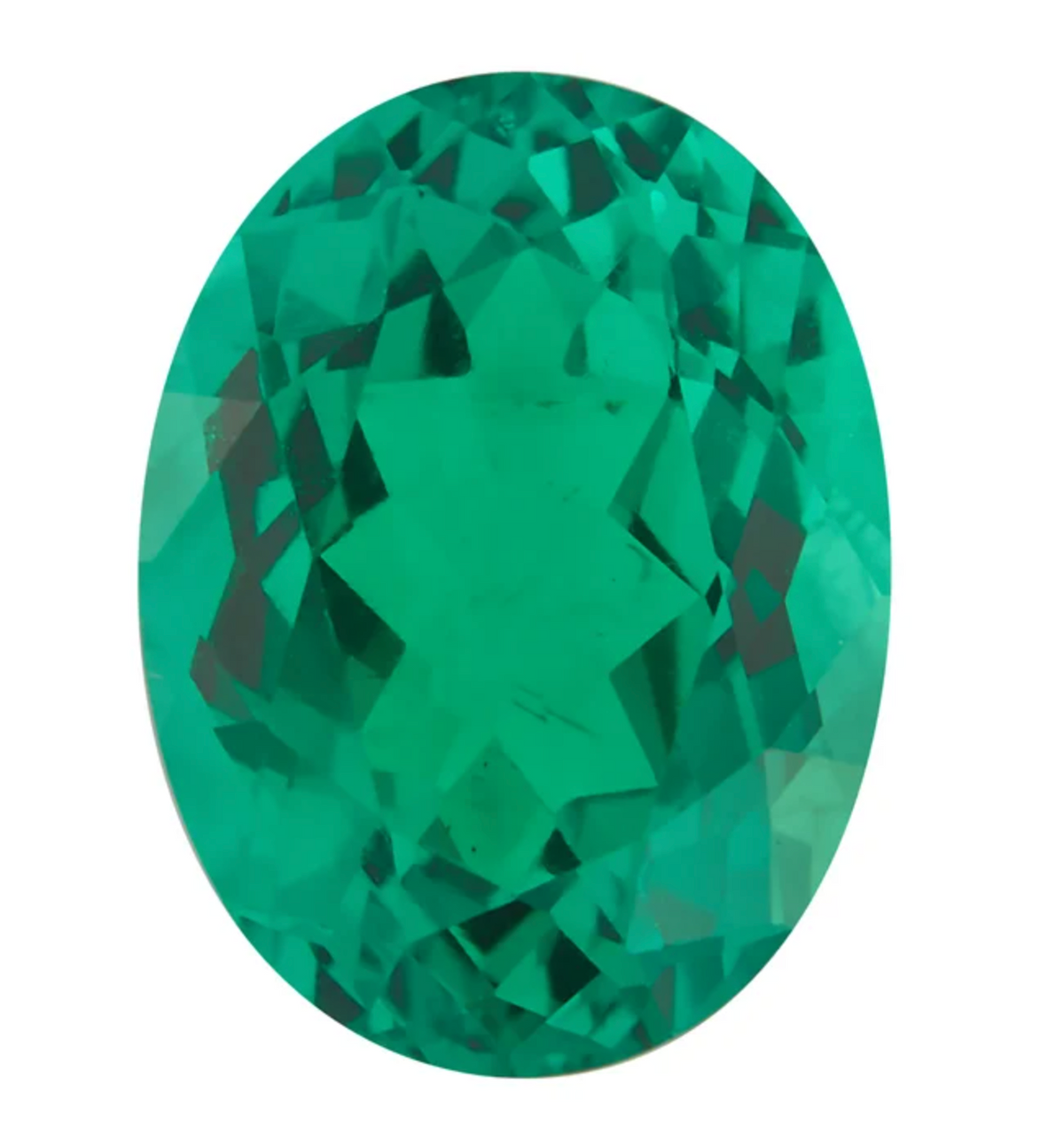 Jenna Marchant | N1366