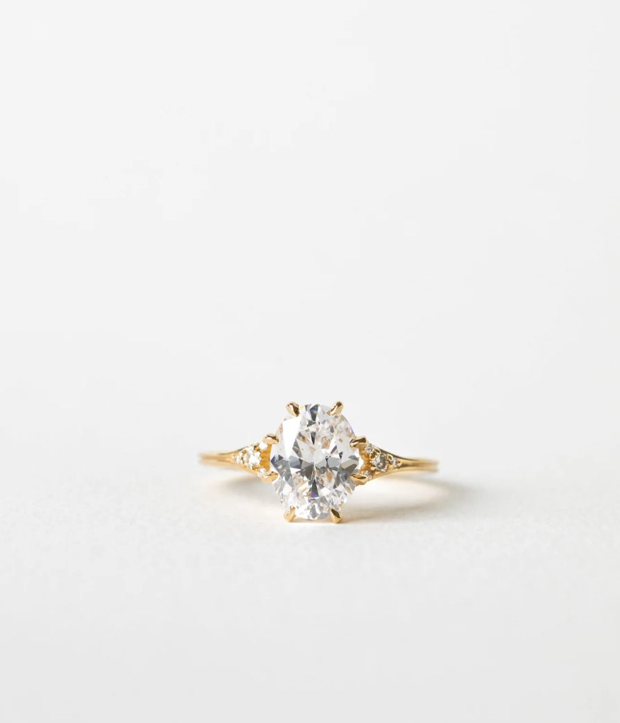 Hailey Hoffman | N1392