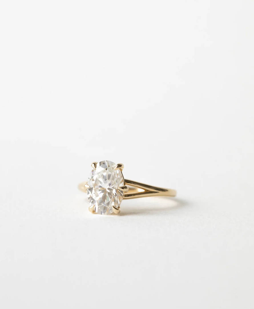 Hailey Hoffman | N1392