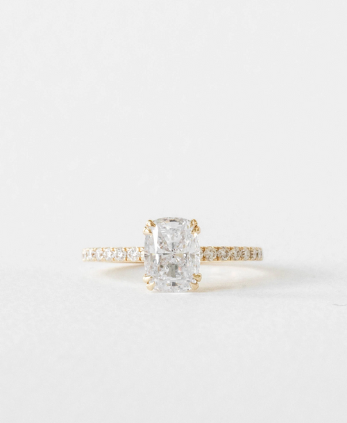 Amelia Protriva | N1453