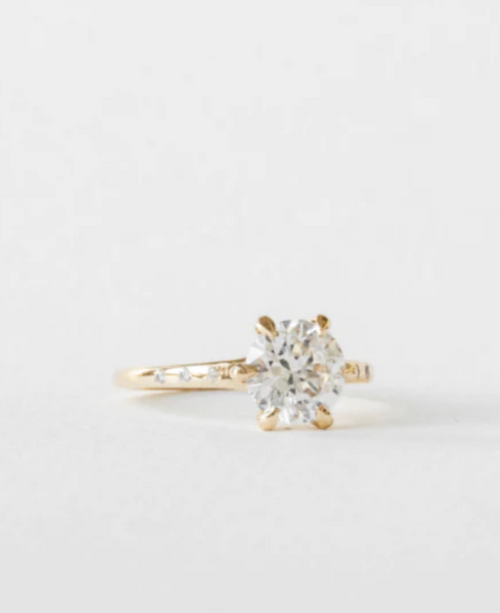Campbell | N1608