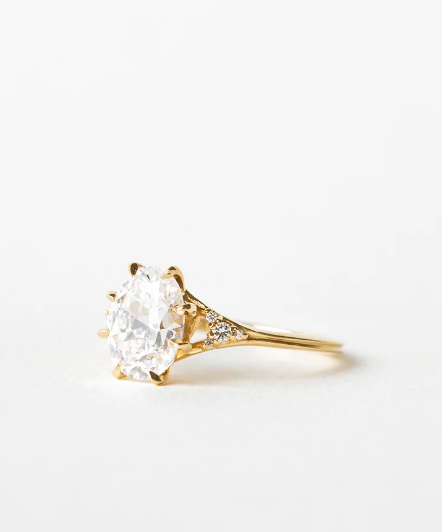 Ti | Custom Dahlia Oval