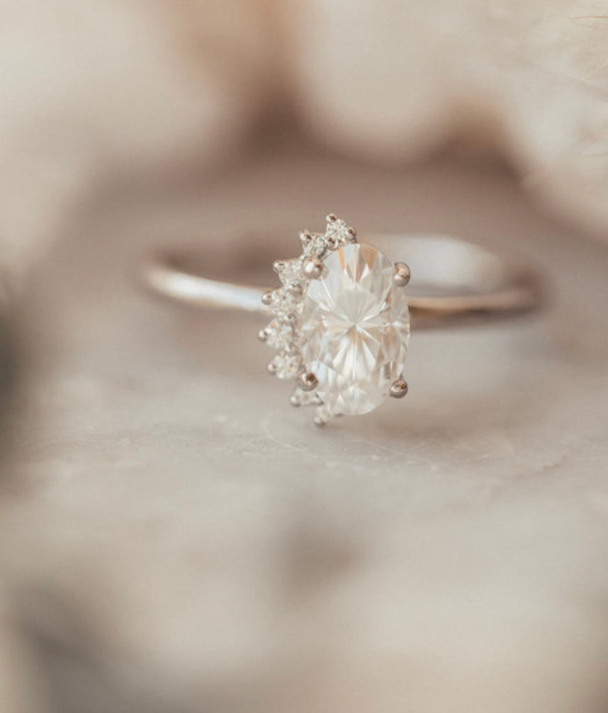 Holly Booton | N1289